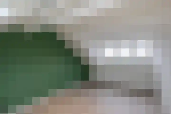 Schapedrift 84 Hardinxveld-Giessendam thumbnail 20