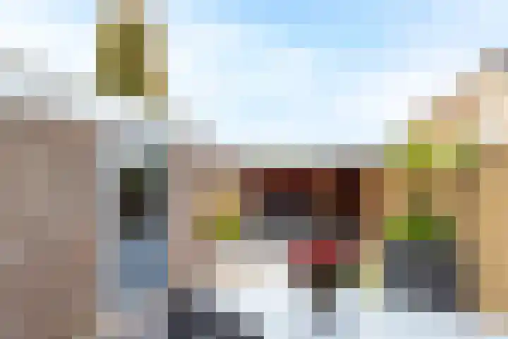 Schapedrift 84 Hardinxveld-Giessendam thumbnail 22