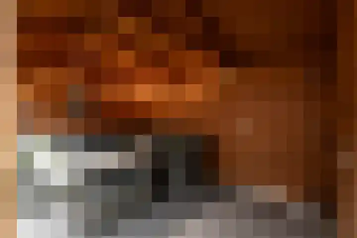 Schapedrift 84 Hardinxveld-Giessendam thumbnail 24
