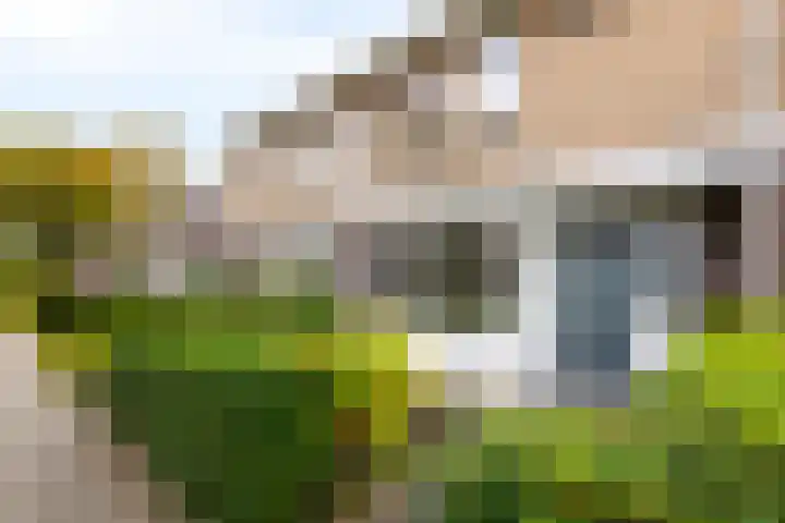 Schapedrift 84 Hardinxveld-Giessendam thumbnail 25