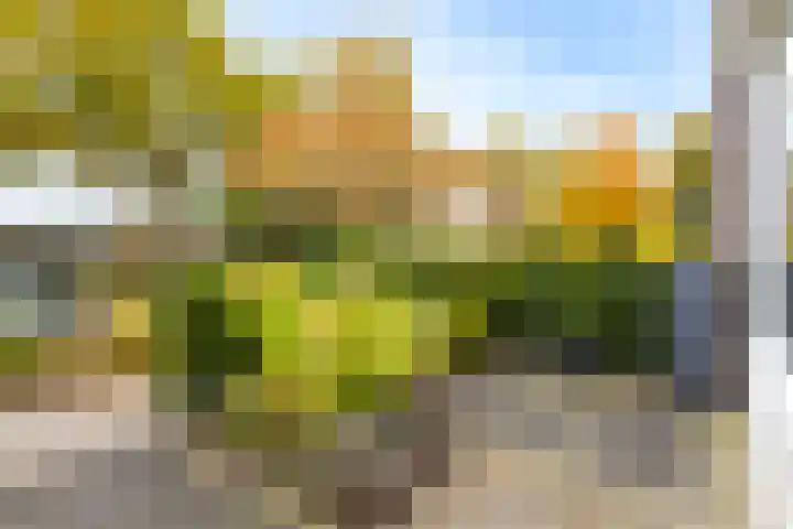 Schapedrift 84 Hardinxveld-Giessendam thumbnail 27