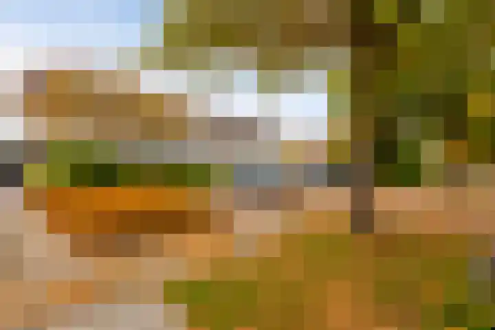 Schapedrift 84 Hardinxveld-Giessendam thumbnail 28