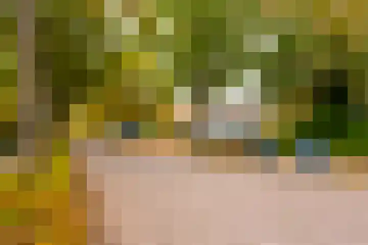 Schapedrift 84 Hardinxveld-Giessendam thumbnail 29