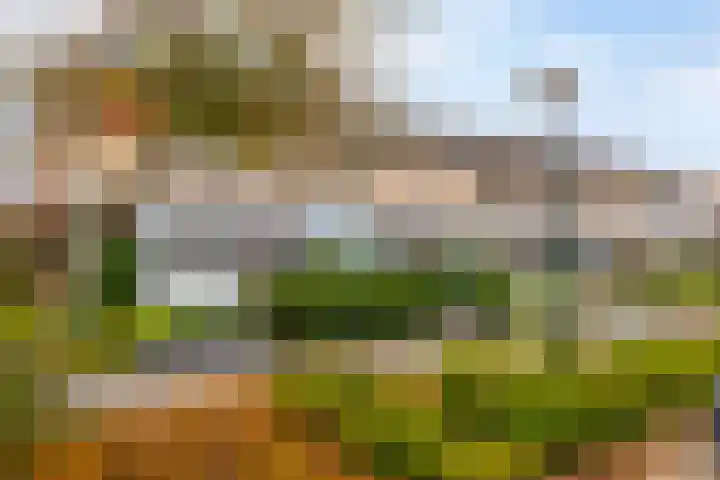 Schapedrift 84 Hardinxveld-Giessendam thumbnail 30