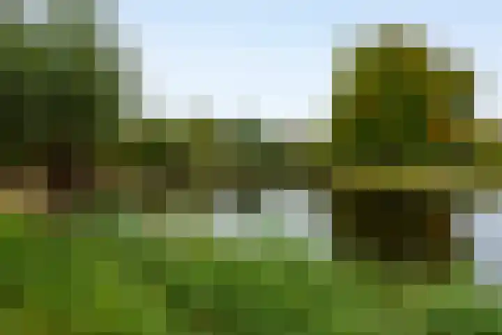 Schapedrift 84 Hardinxveld-Giessendam thumbnail 31