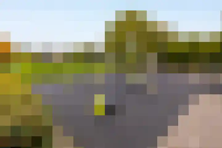 Schapedrift 84 Hardinxveld-Giessendam thumbnail 33