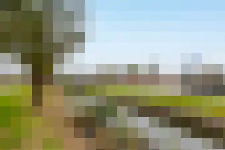 Schapedrift 84 Hardinxveld-Giessendam thumbnail 34