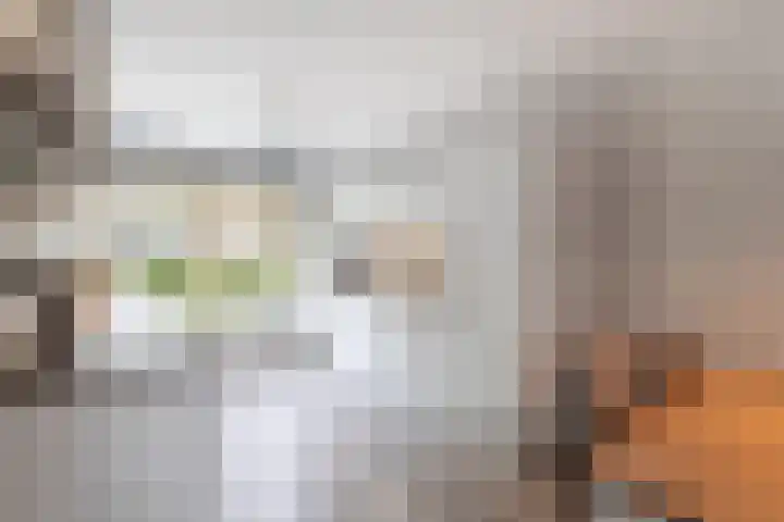 Schapedrift 84 Hardinxveld-Giessendam thumbnail 8