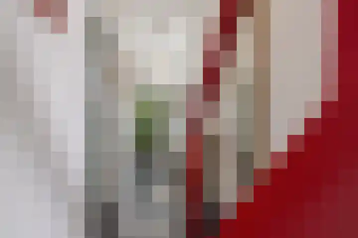 Schapenbrugstraat 2 Heusden thumbnail 15