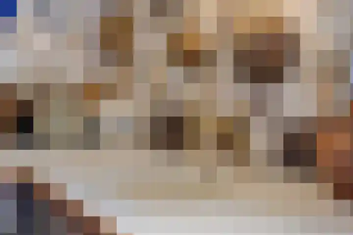 Schapenbrugstraat 2 Heusden thumbnail 24