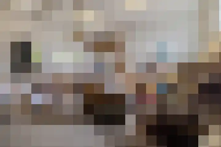 Schapenbrugstraat 2 Heusden thumbnail 29