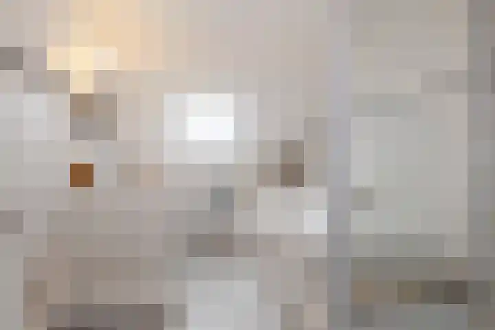 Schapenbrugstraat 2 Heusden thumbnail 44