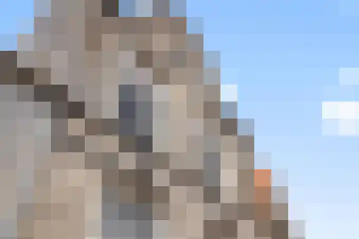Schapenbrugstraat 2 Heusden thumbnail 7