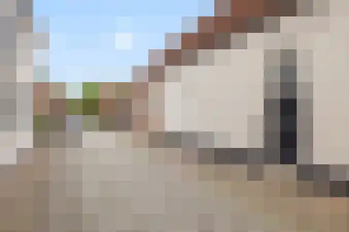 Schapenbrugstraat 2 Heusden thumbnail 8