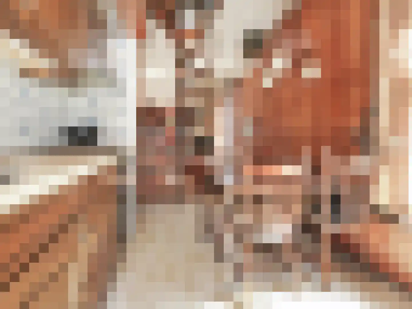 Schapenburgerpad 27 Amsterdam thumbnail 18