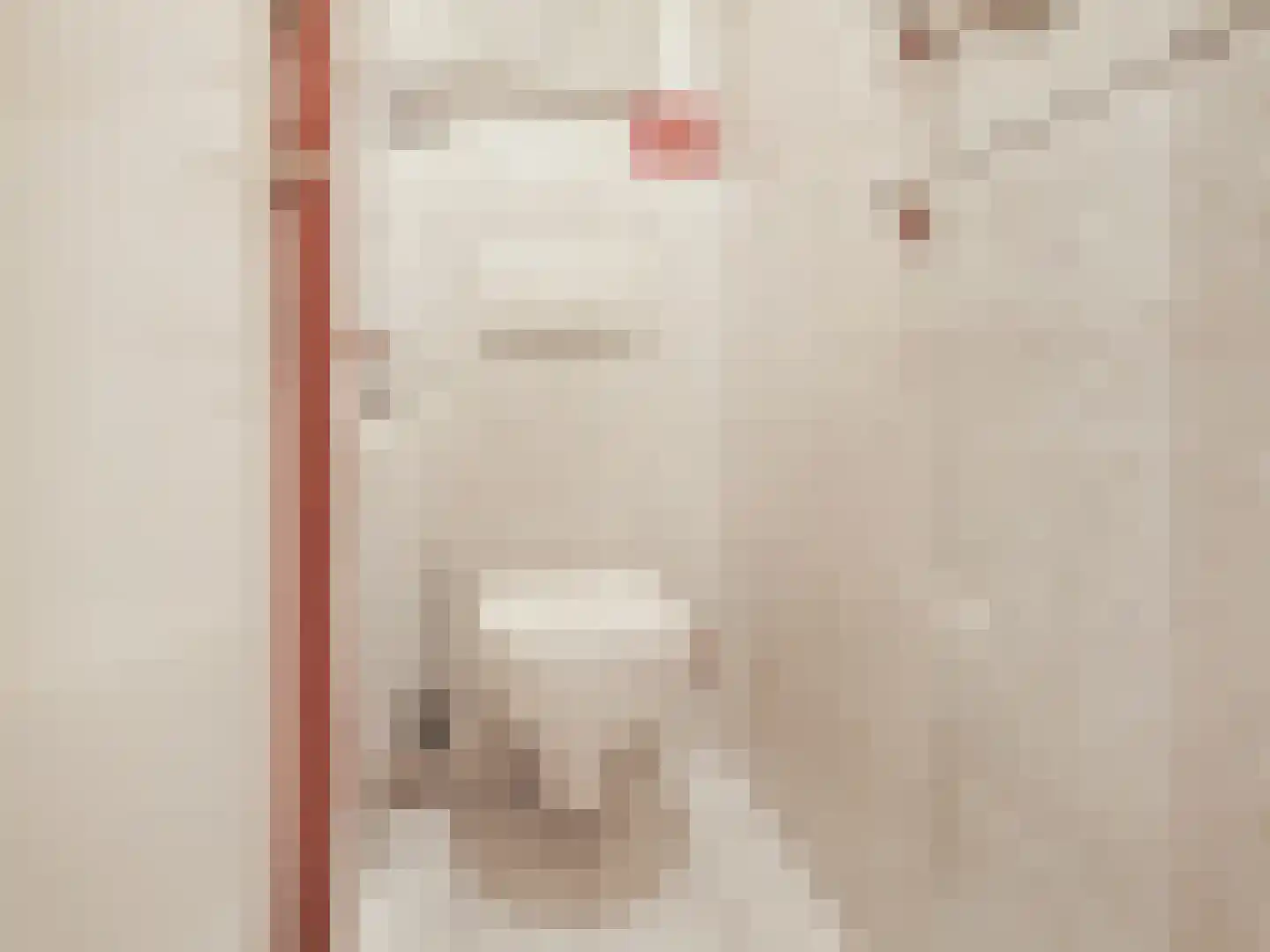 Schapenburgerpad 27 Amsterdam thumbnail 24