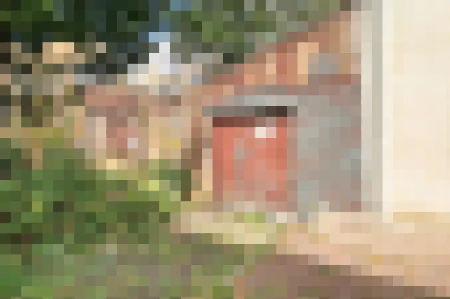 Schapenburgerpad 27 Amsterdam thumbnail 31