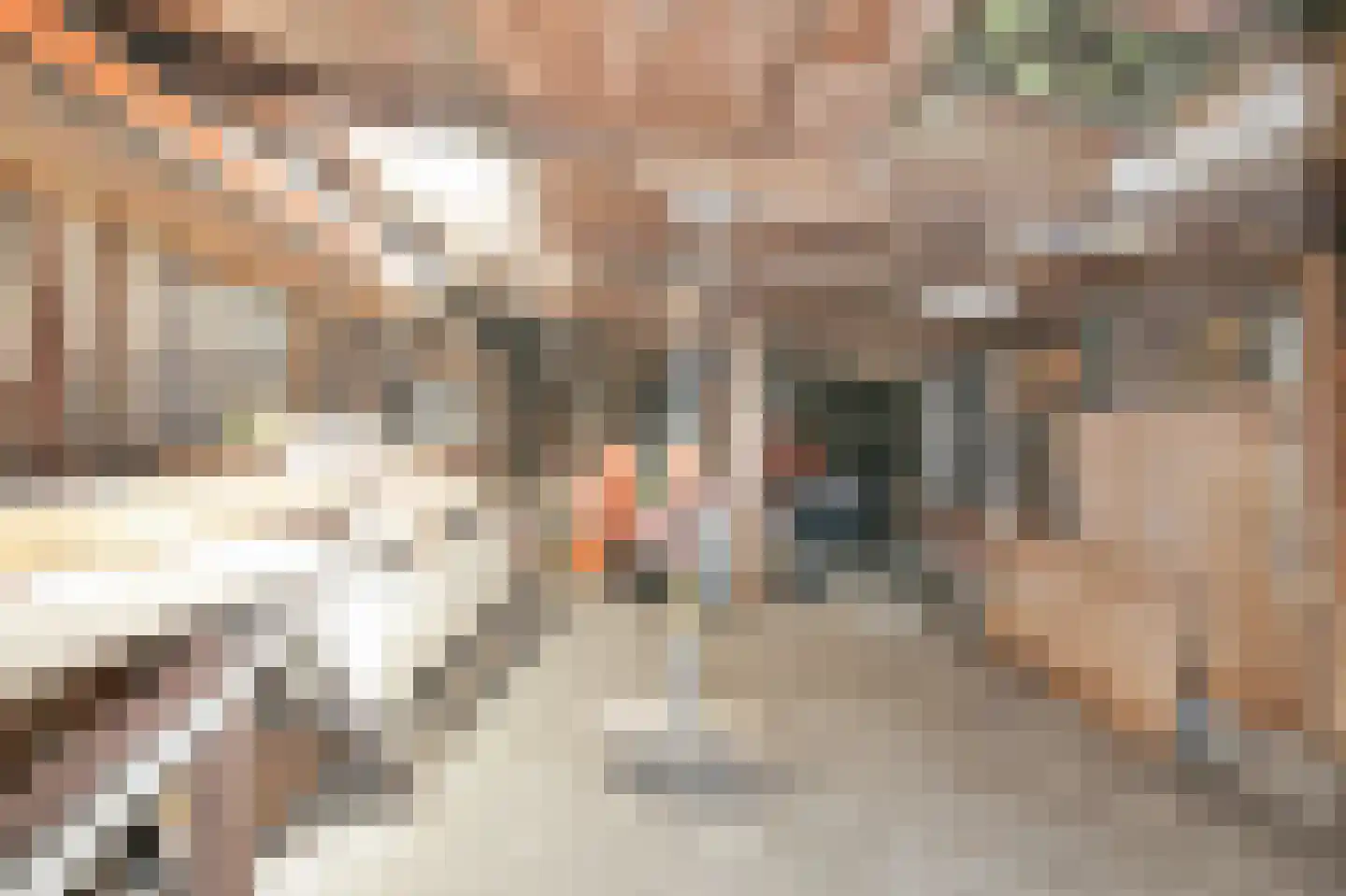 Schapenburgerpad 27 Amsterdam thumbnail 33