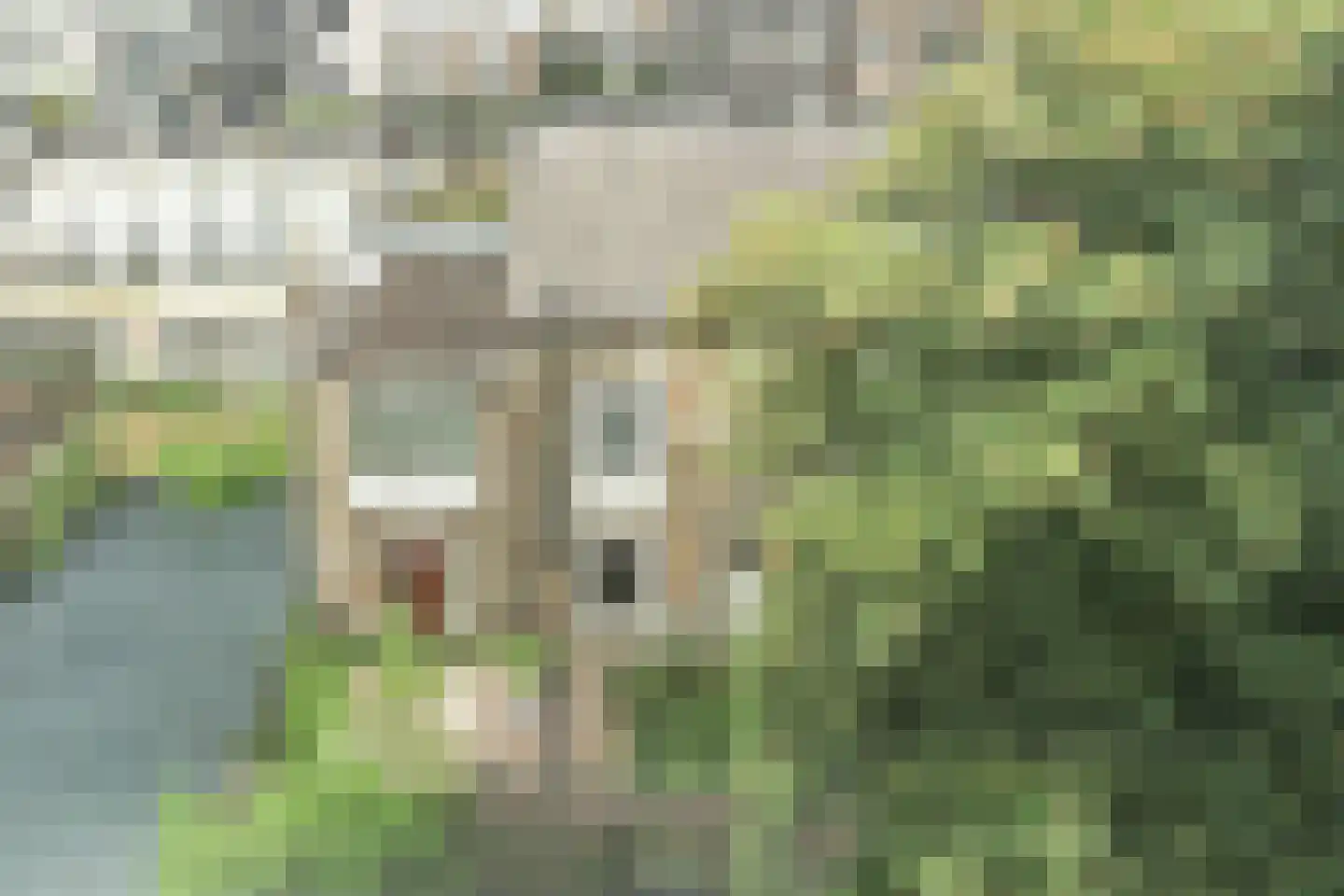 Schapenburgerpad 27 Amsterdam thumbnail 38