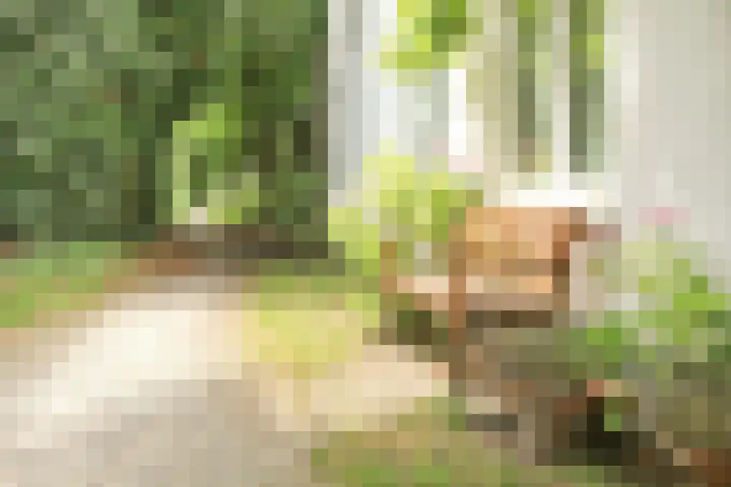 Schapenburgerpad 27 Amsterdam thumbnail 5