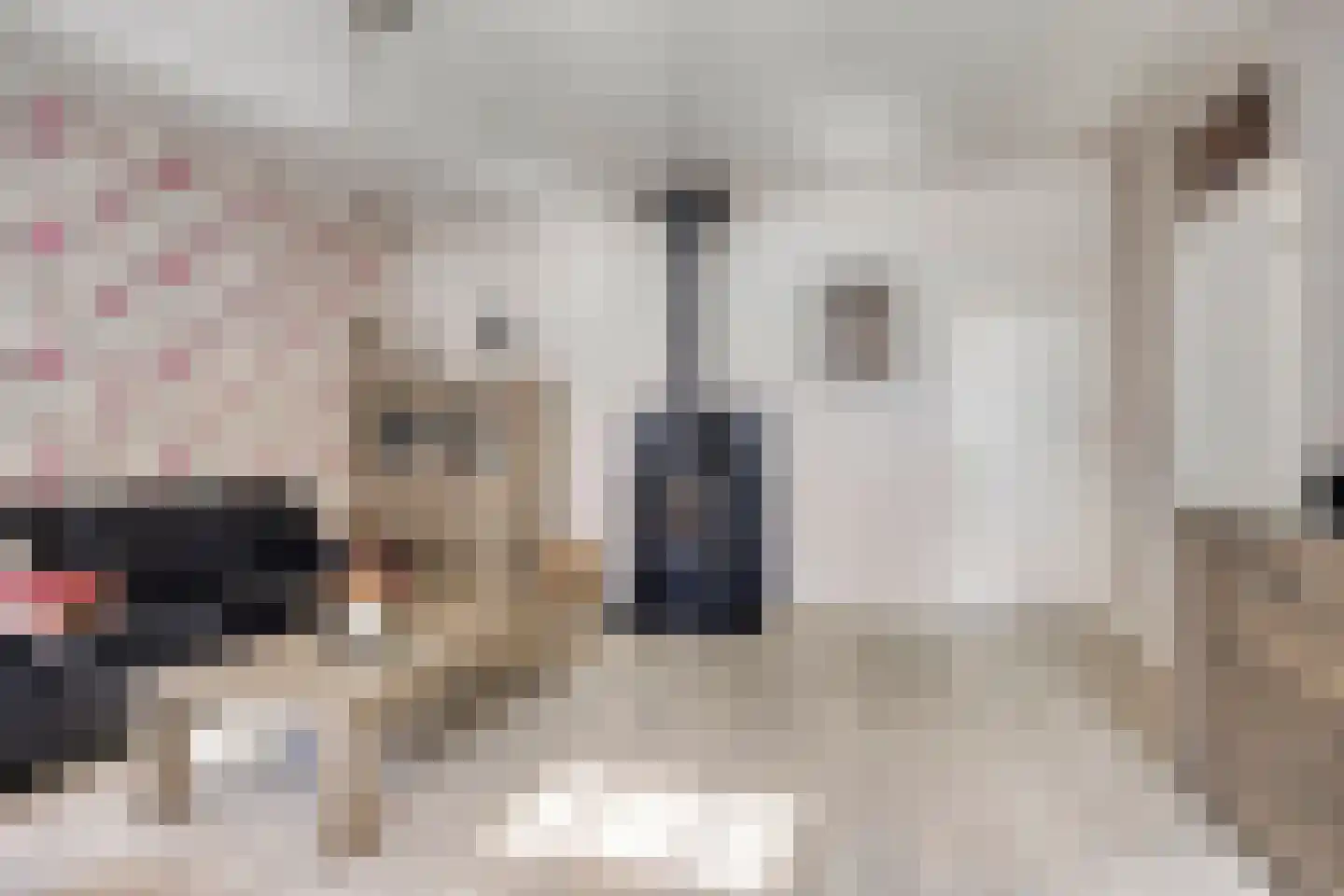 Schapendijk 10 Punthorst thumbnail 11