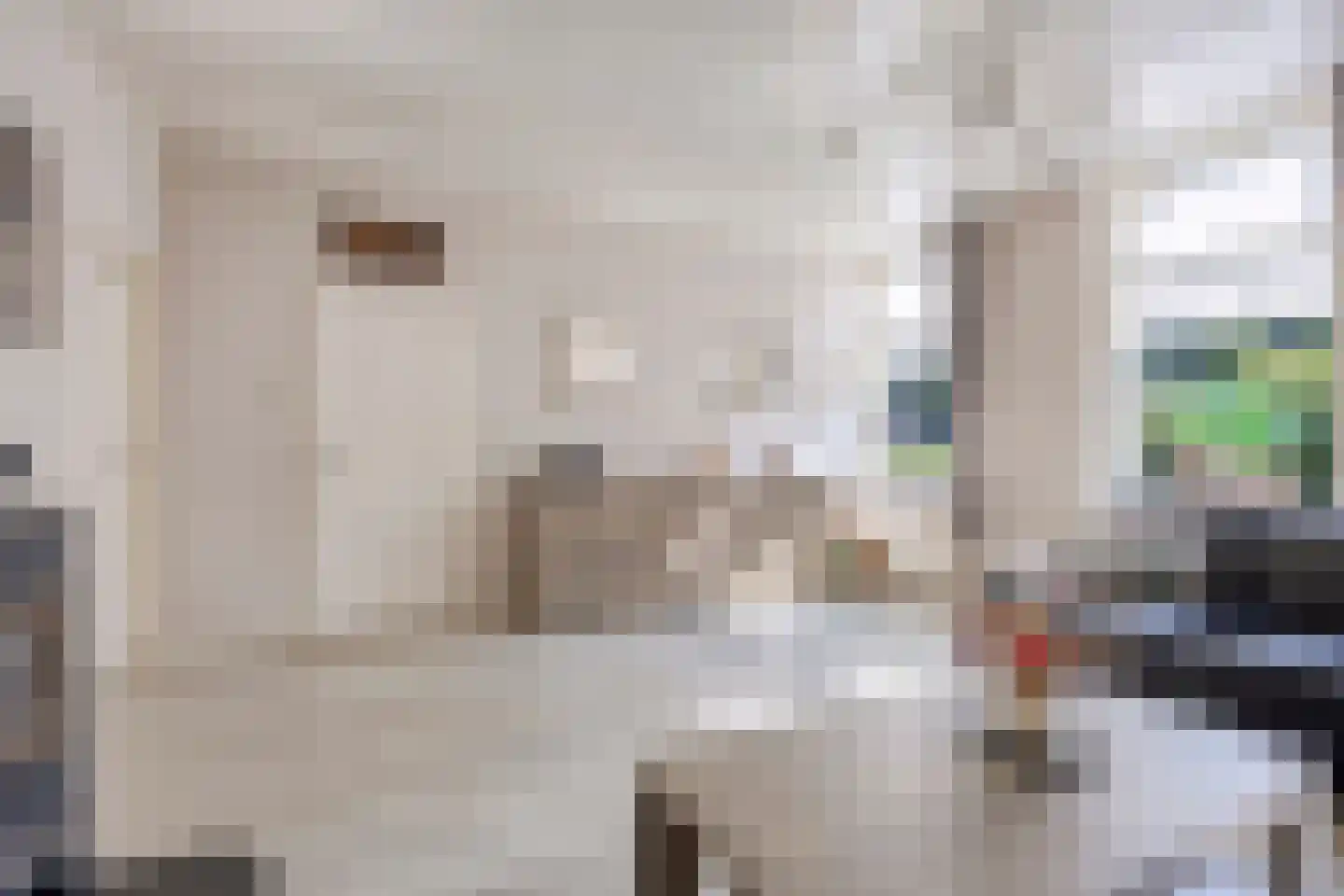 Schapendijk 10 Punthorst thumbnail 14