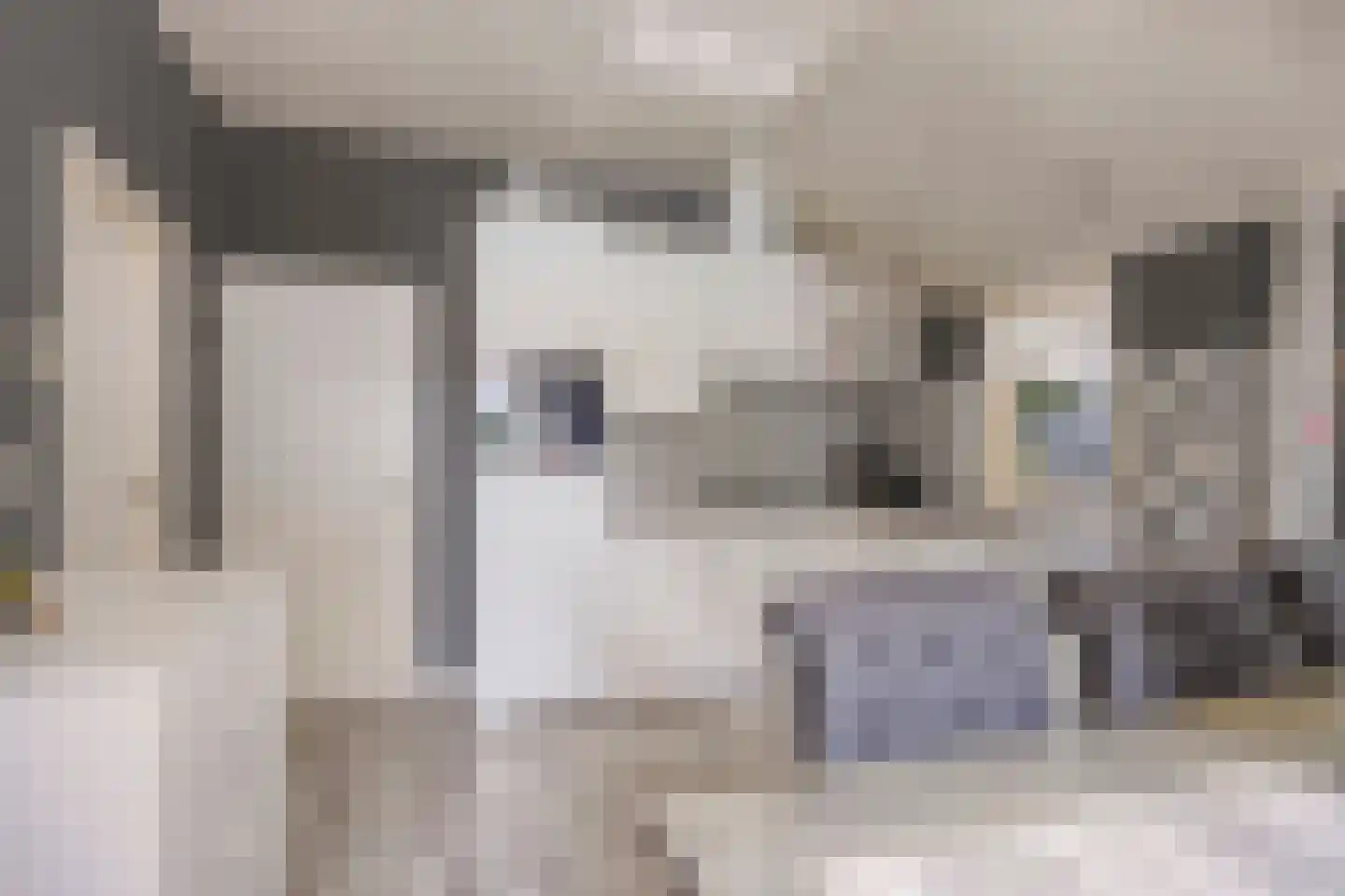 Schapendijk 10 Punthorst thumbnail 17
