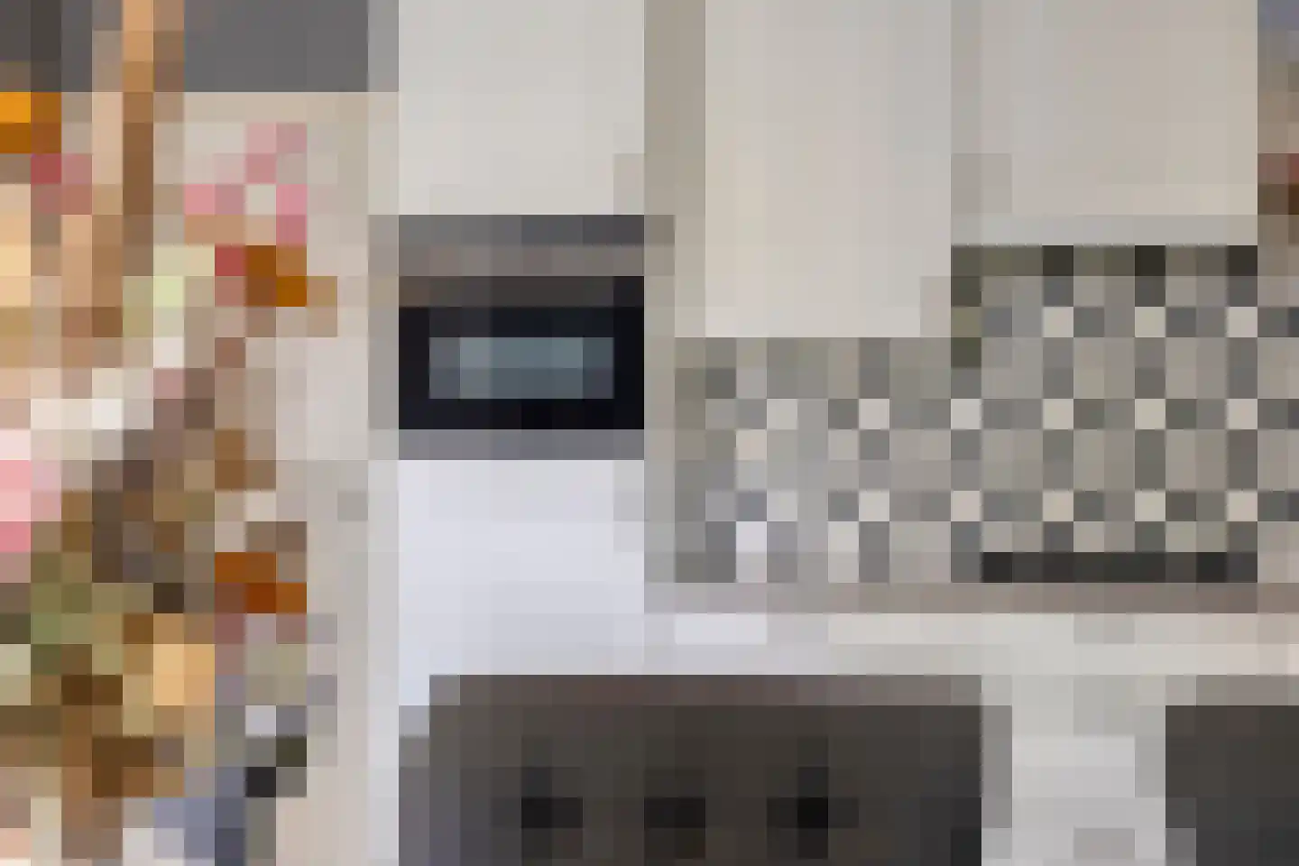Schapendijk 10 Punthorst thumbnail 18