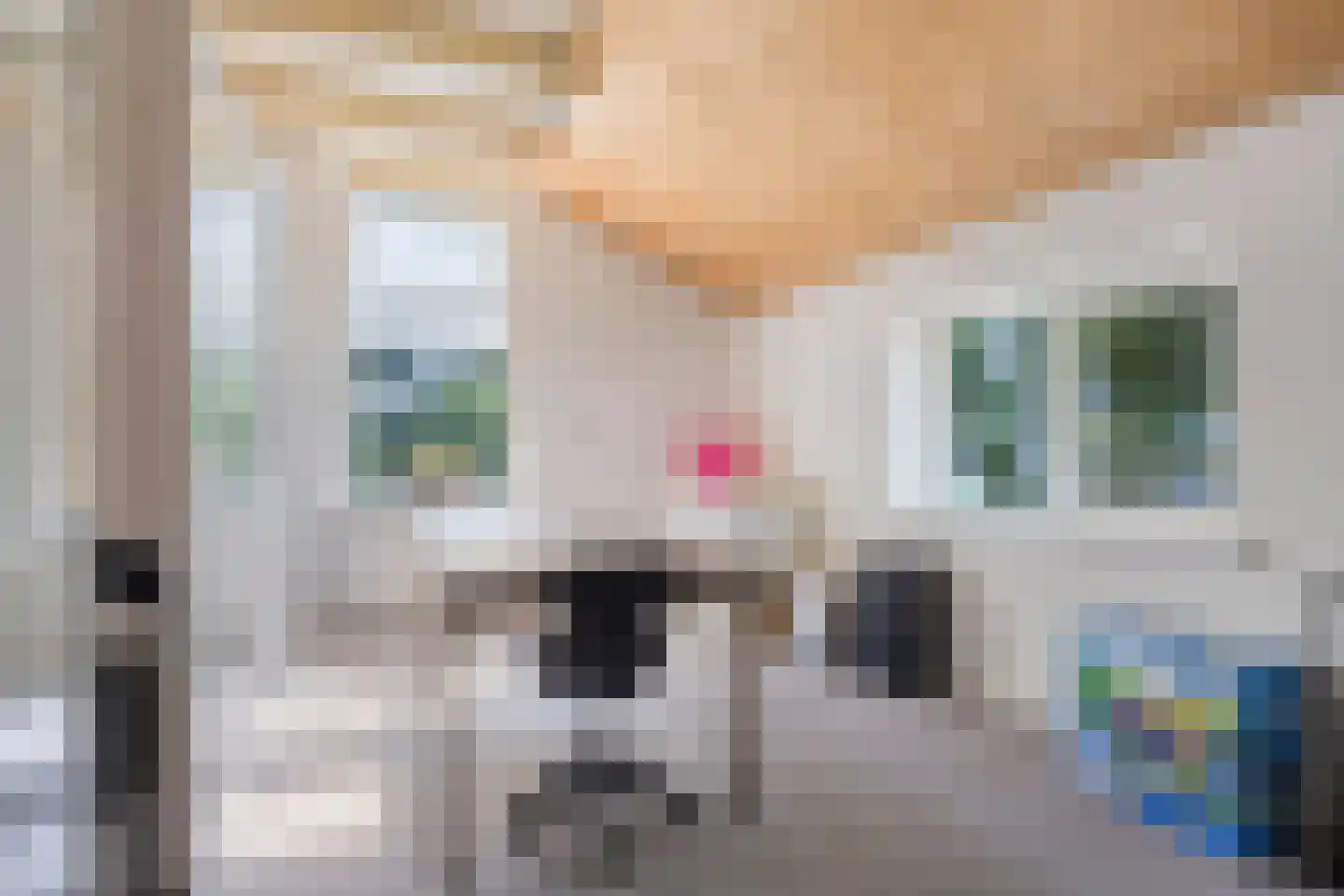 Schapendijk 10 Punthorst thumbnail 24