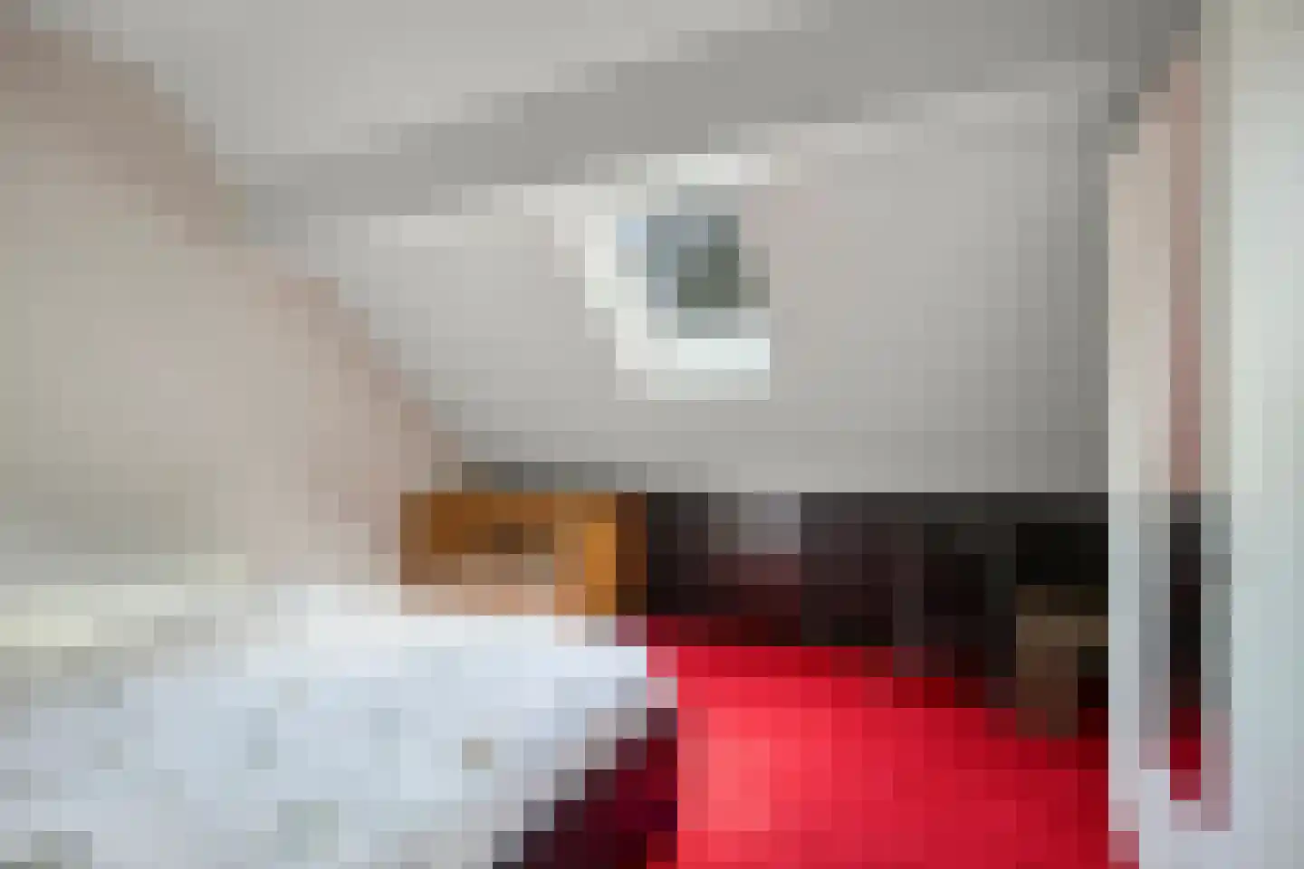 Schapendijk 10 Punthorst thumbnail 29