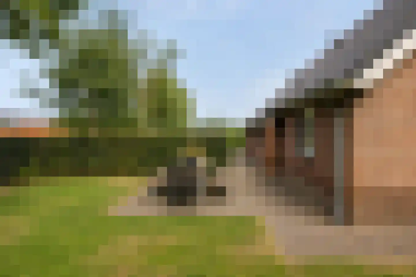 Schapendijk 10 Punthorst thumbnail 44