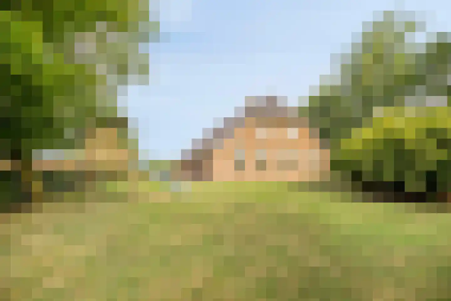 Schapendijk 10 Punthorst thumbnail 47