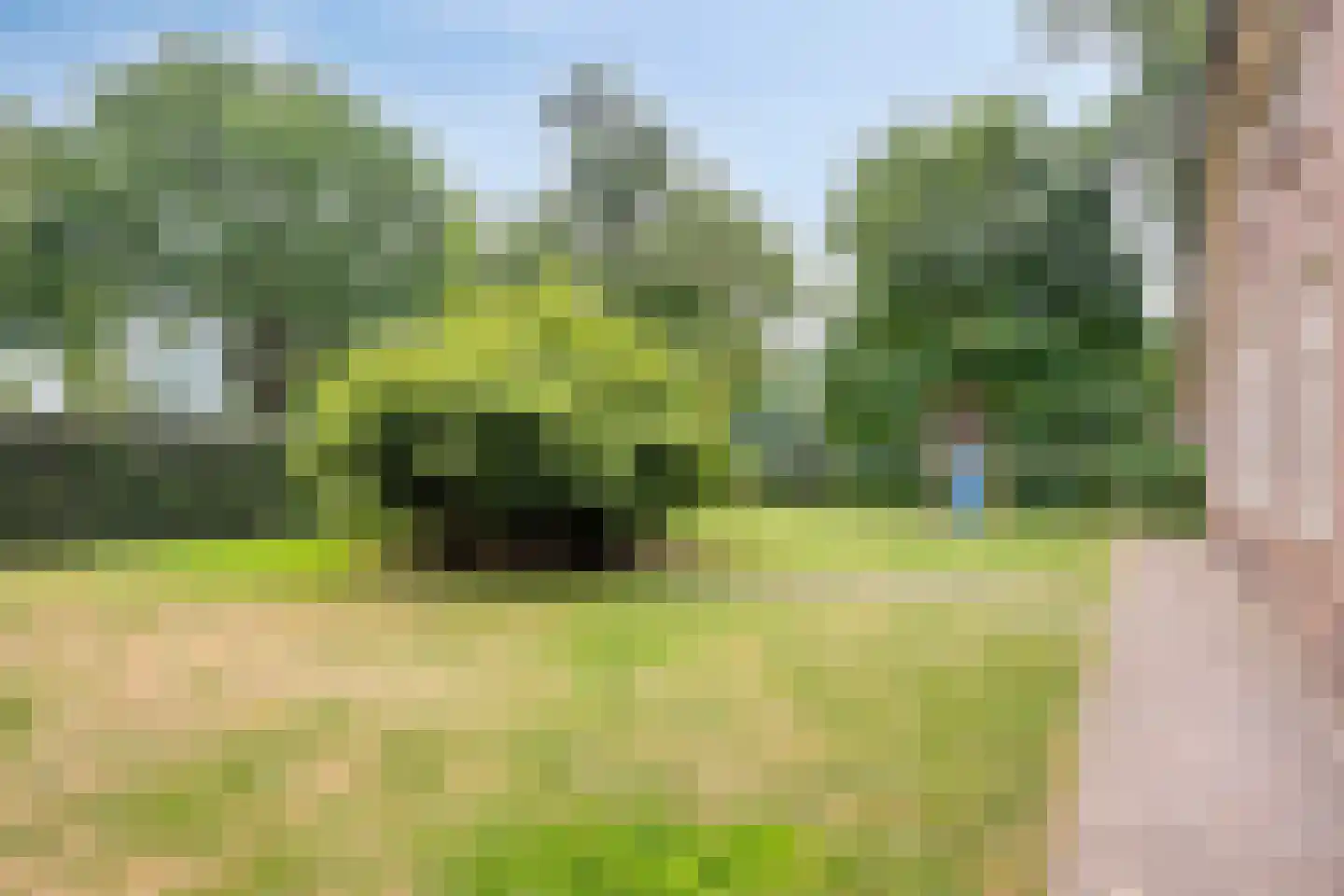 Schapendijk 10 Punthorst thumbnail 48