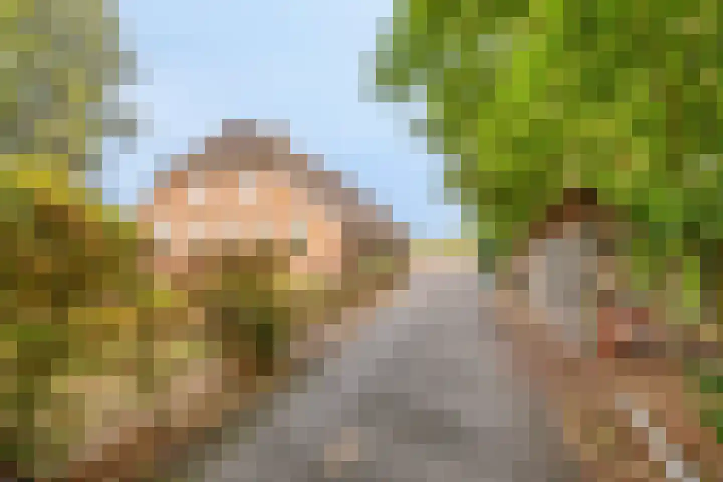 Schapendijk 10 Punthorst thumbnail 50