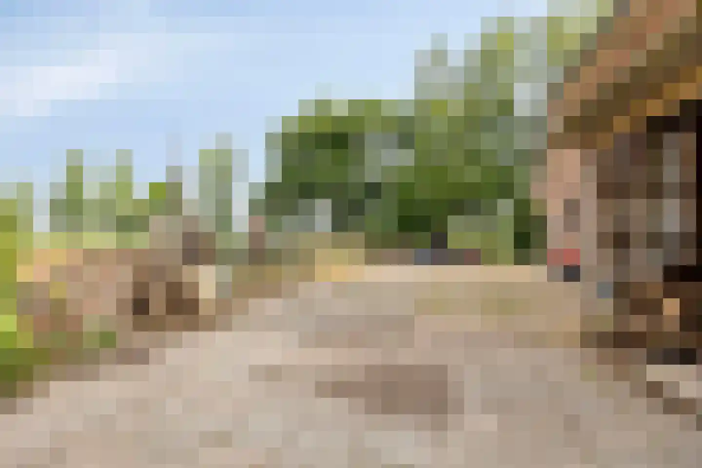 Schapendijk 10 Punthorst thumbnail 58