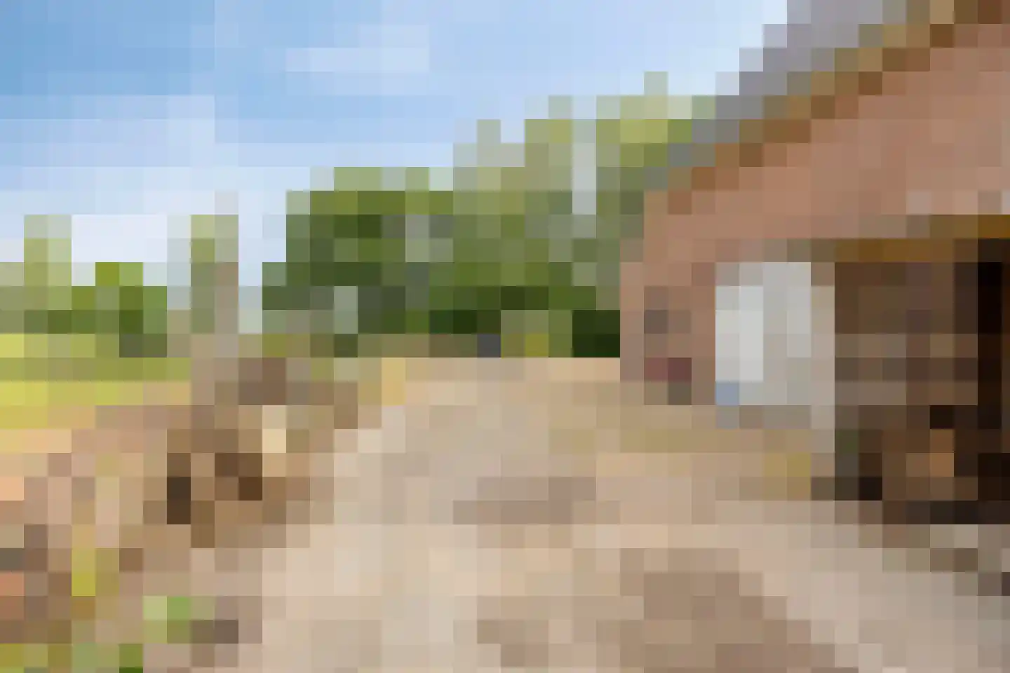 Schapendijk 10 Punthorst thumbnail 59