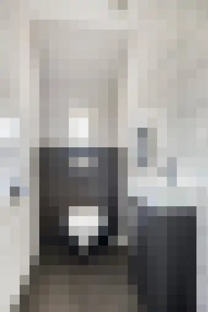 Schapendijk 10 Punthorst thumbnail 6