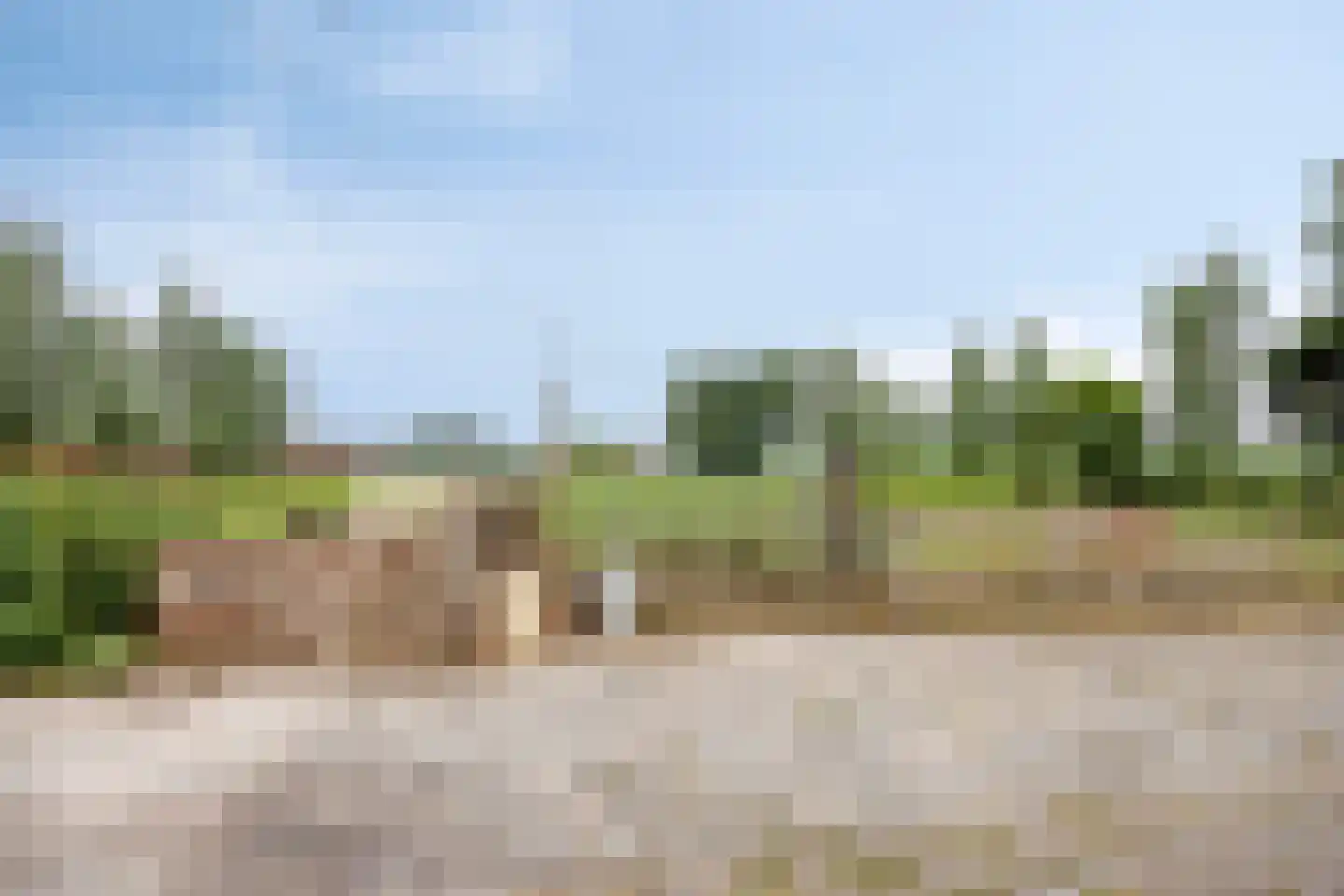 Schapendijk 10 Punthorst thumbnail 60