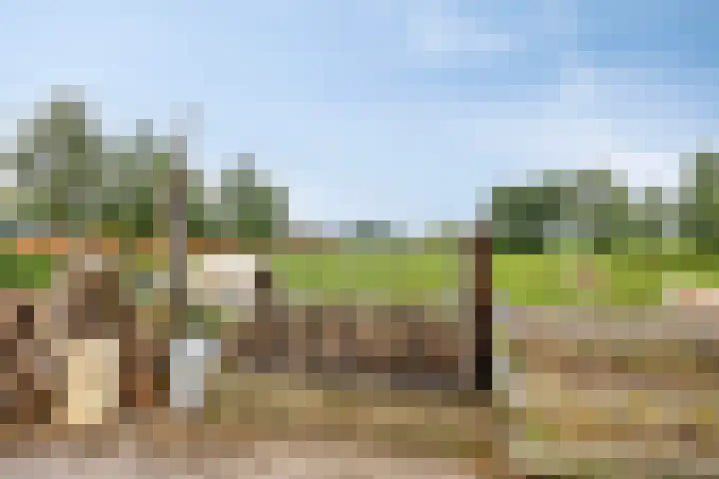 Schapendijk 10 Punthorst thumbnail 61