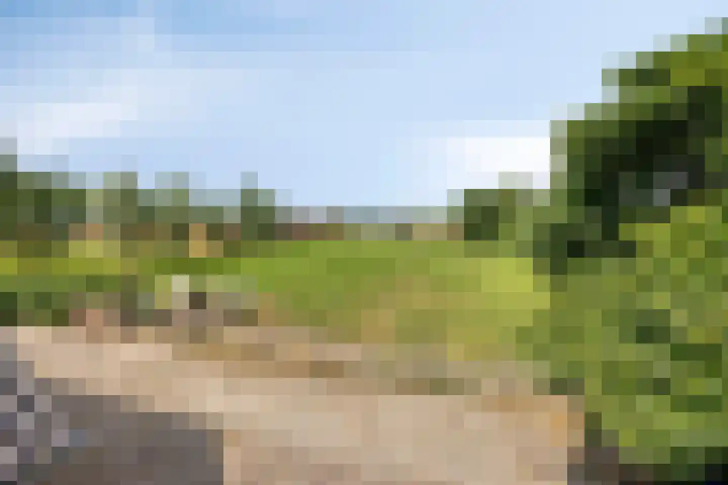Schapendijk 10 Punthorst thumbnail 62