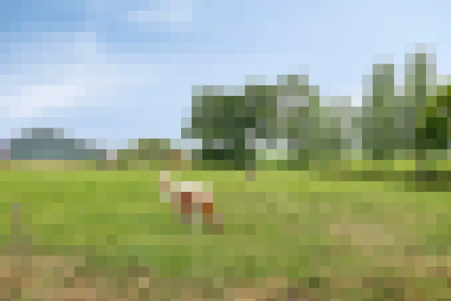 Schapendijk 10 Punthorst thumbnail 63