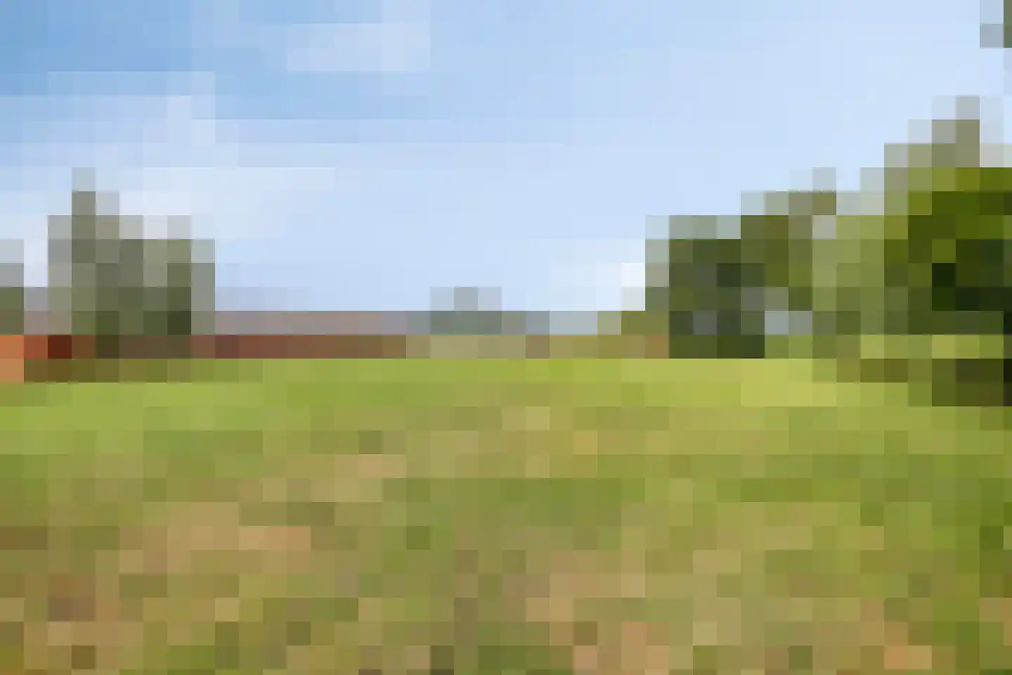 Schapendijk 10 Punthorst thumbnail 65