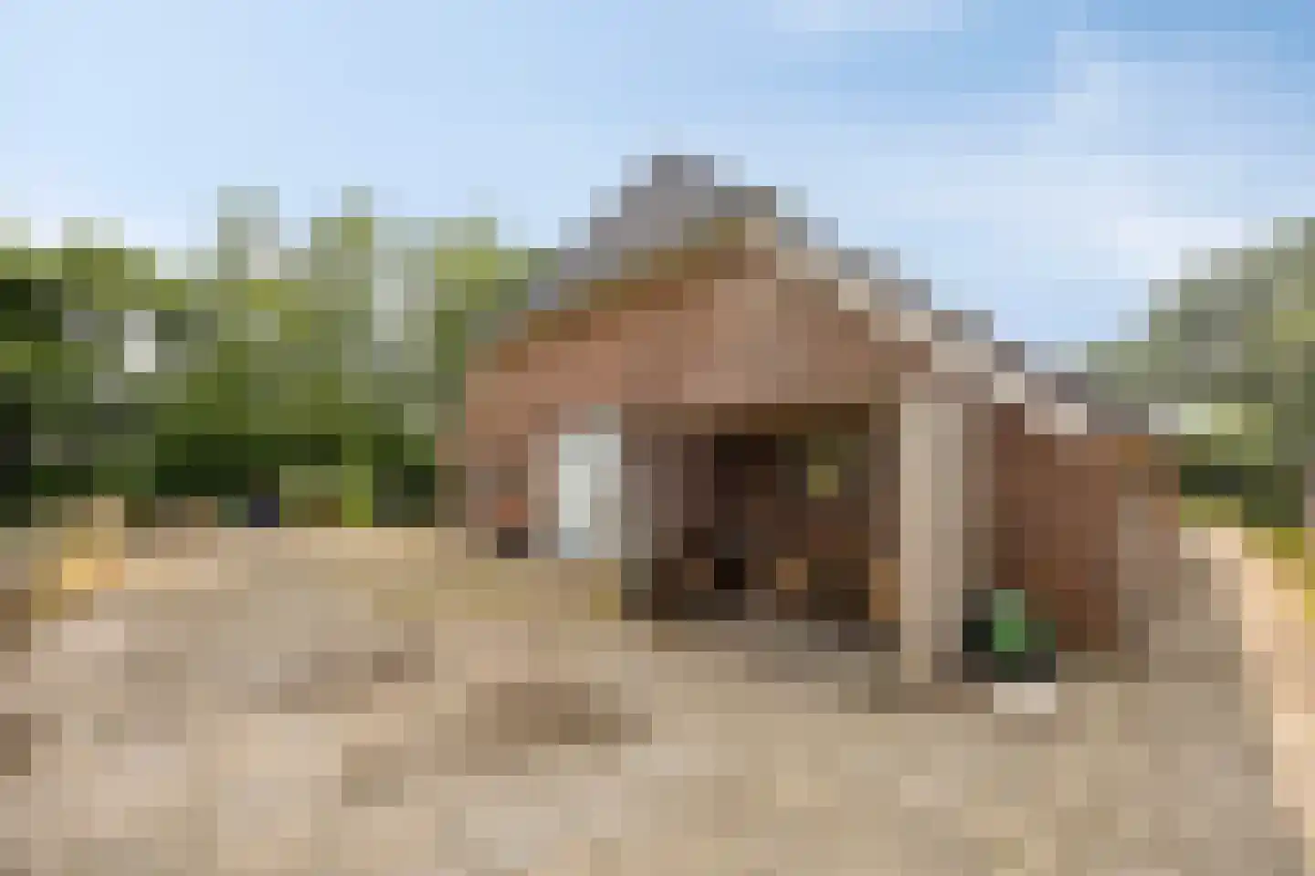Schapendijk 10 Punthorst thumbnail 66