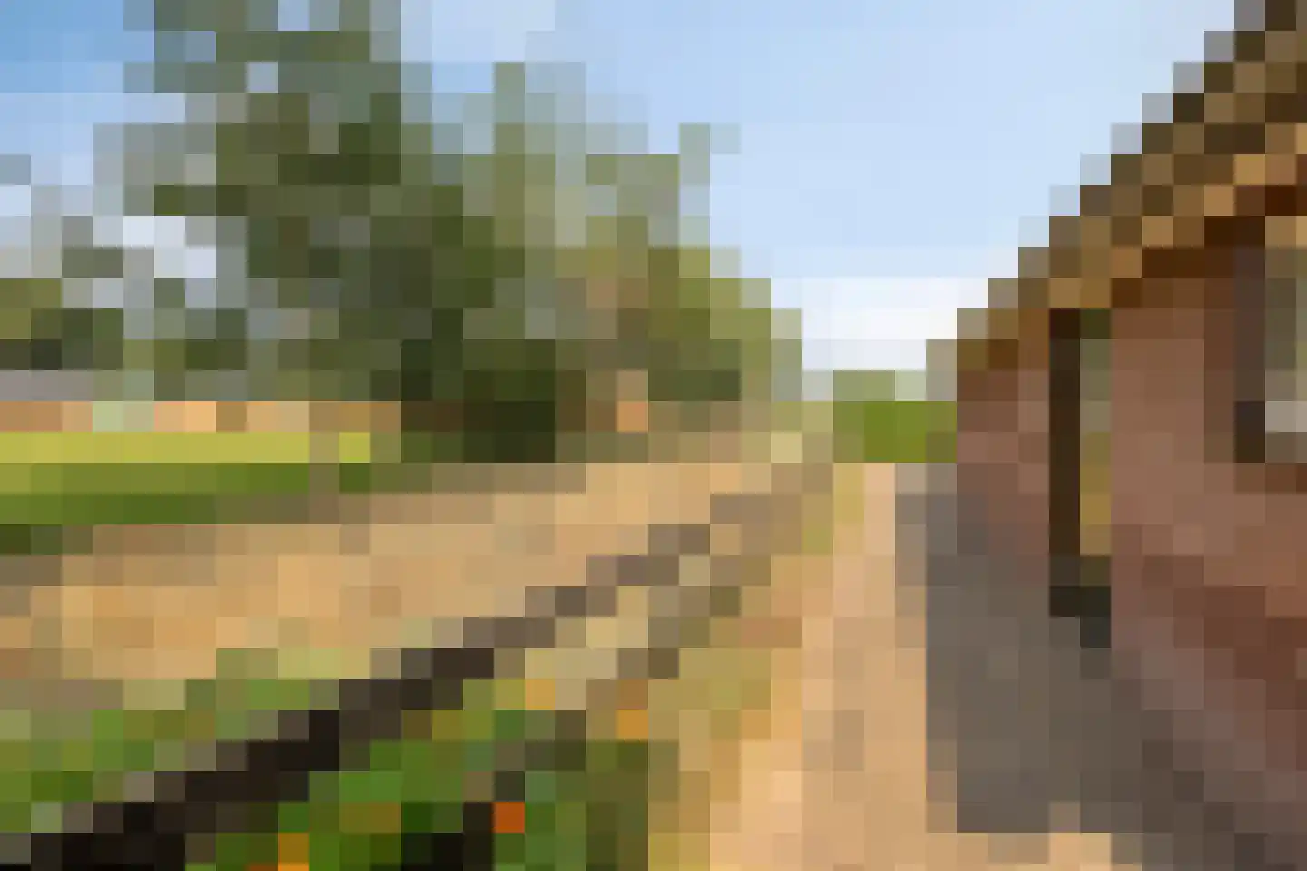 Schapendijk 10 Punthorst thumbnail 67