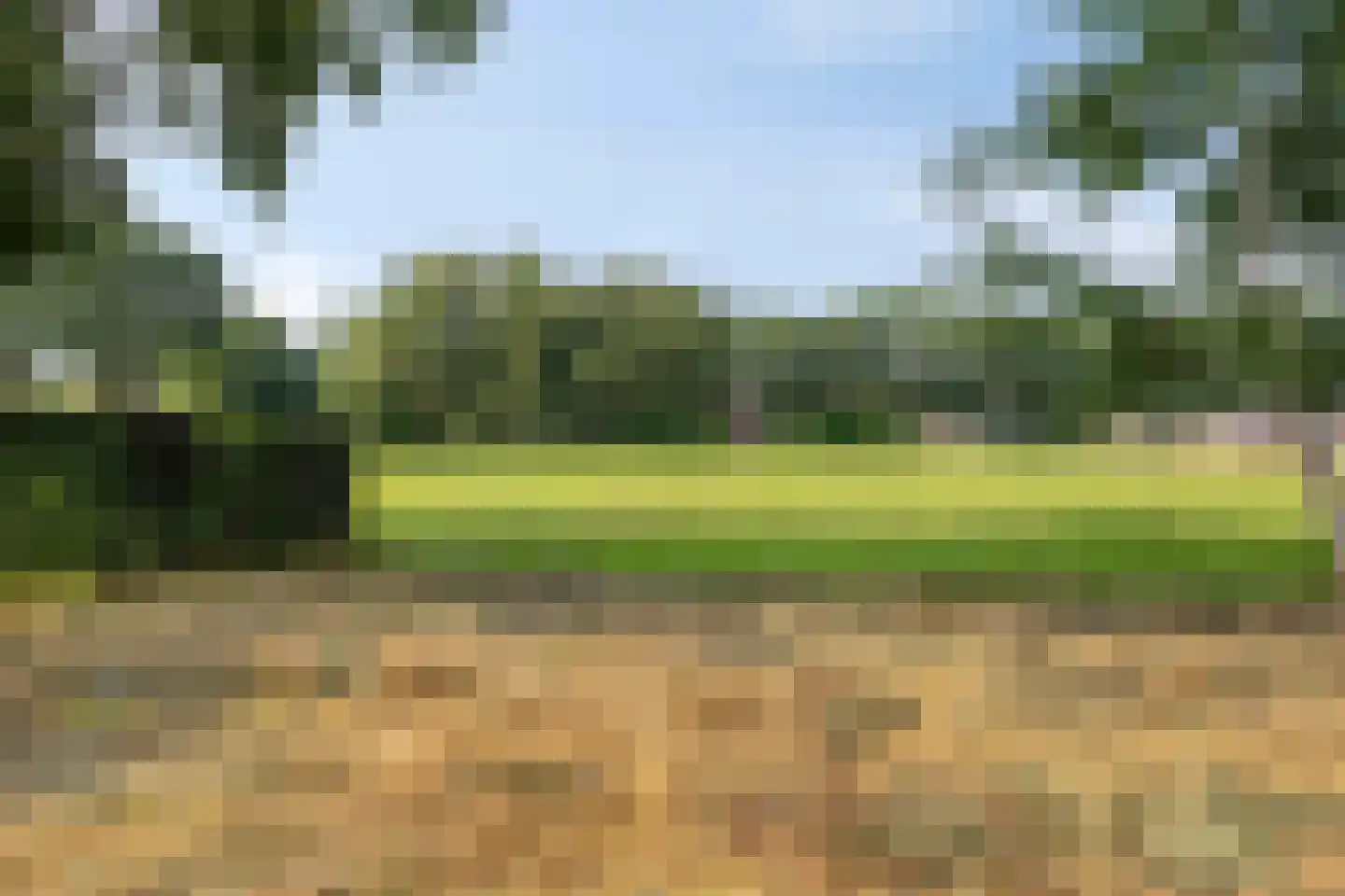 Schapendijk 10 Punthorst thumbnail 68