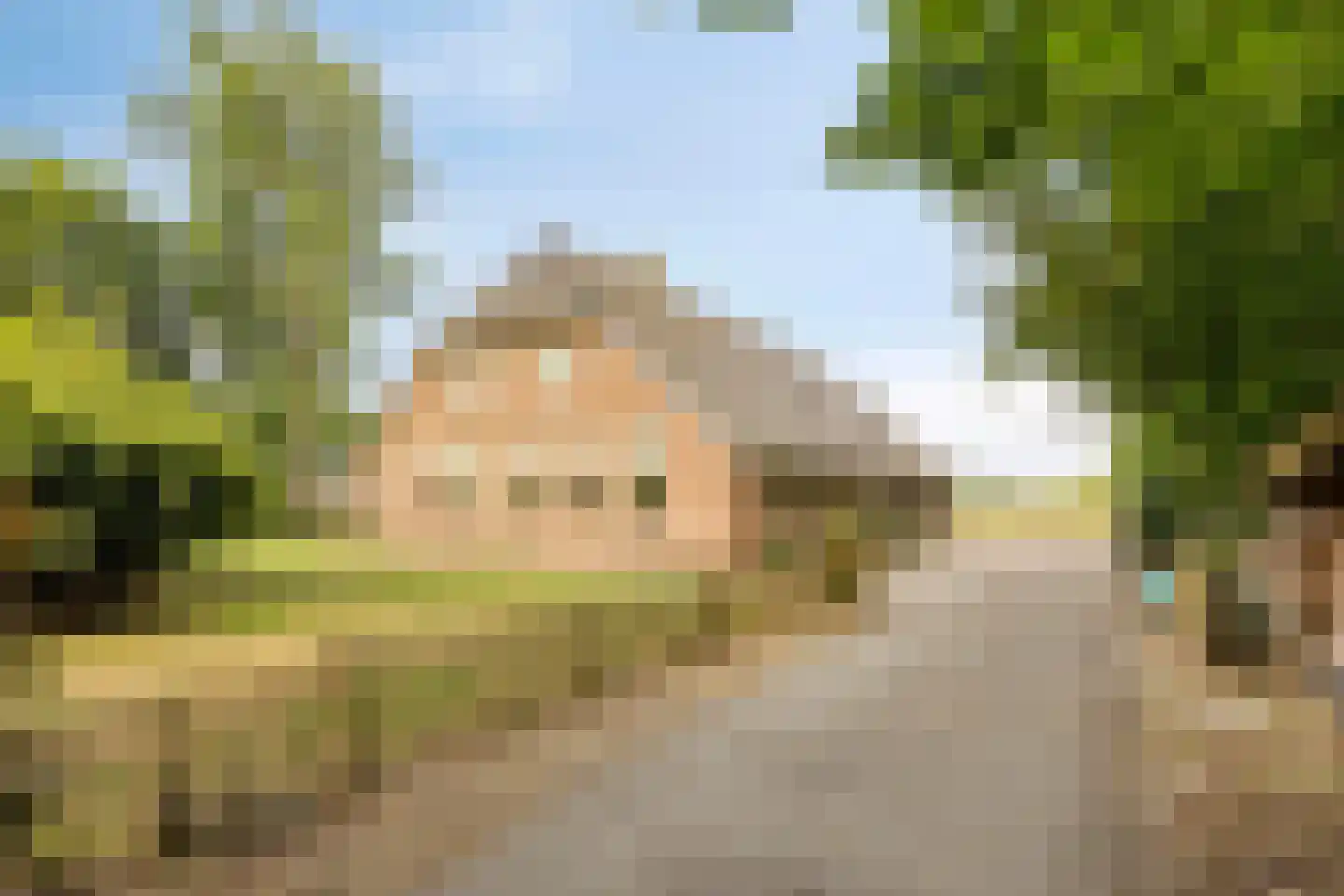 Schapendijk 10 Punthorst thumbnail 69
