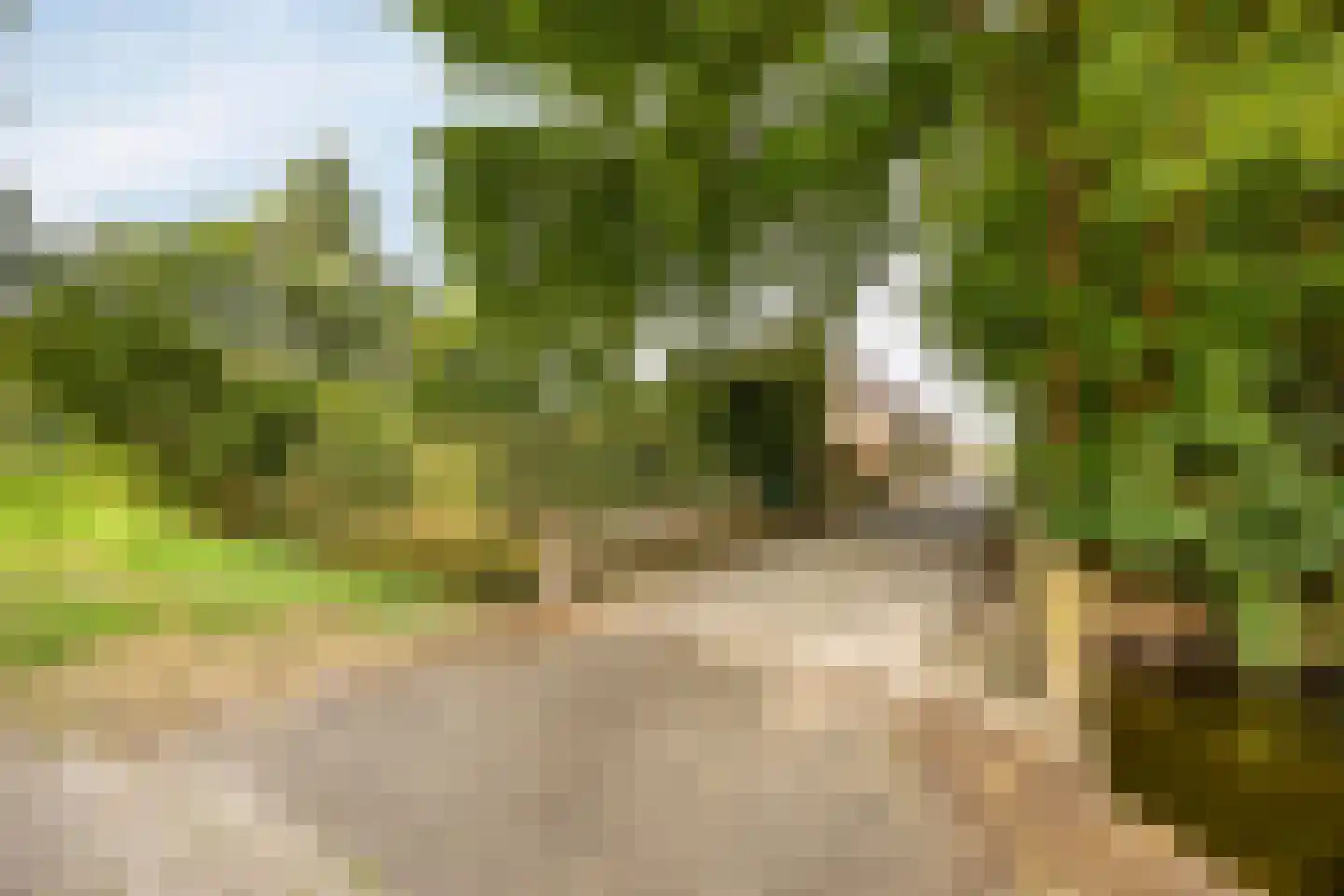 Schapendijk 10 Punthorst thumbnail 70