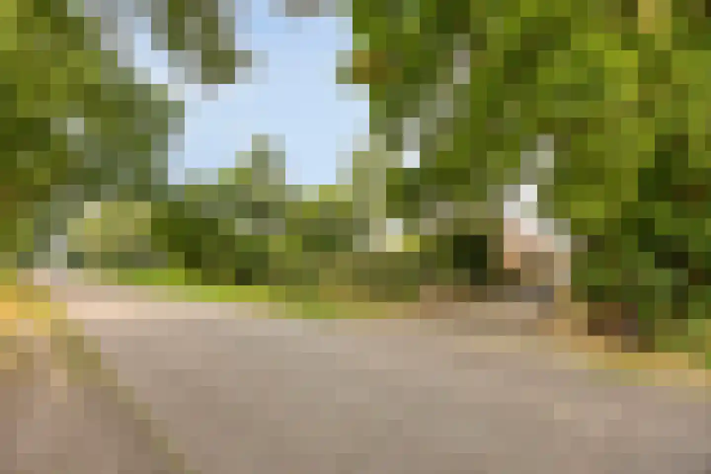 Schapendijk 10 Punthorst thumbnail 71