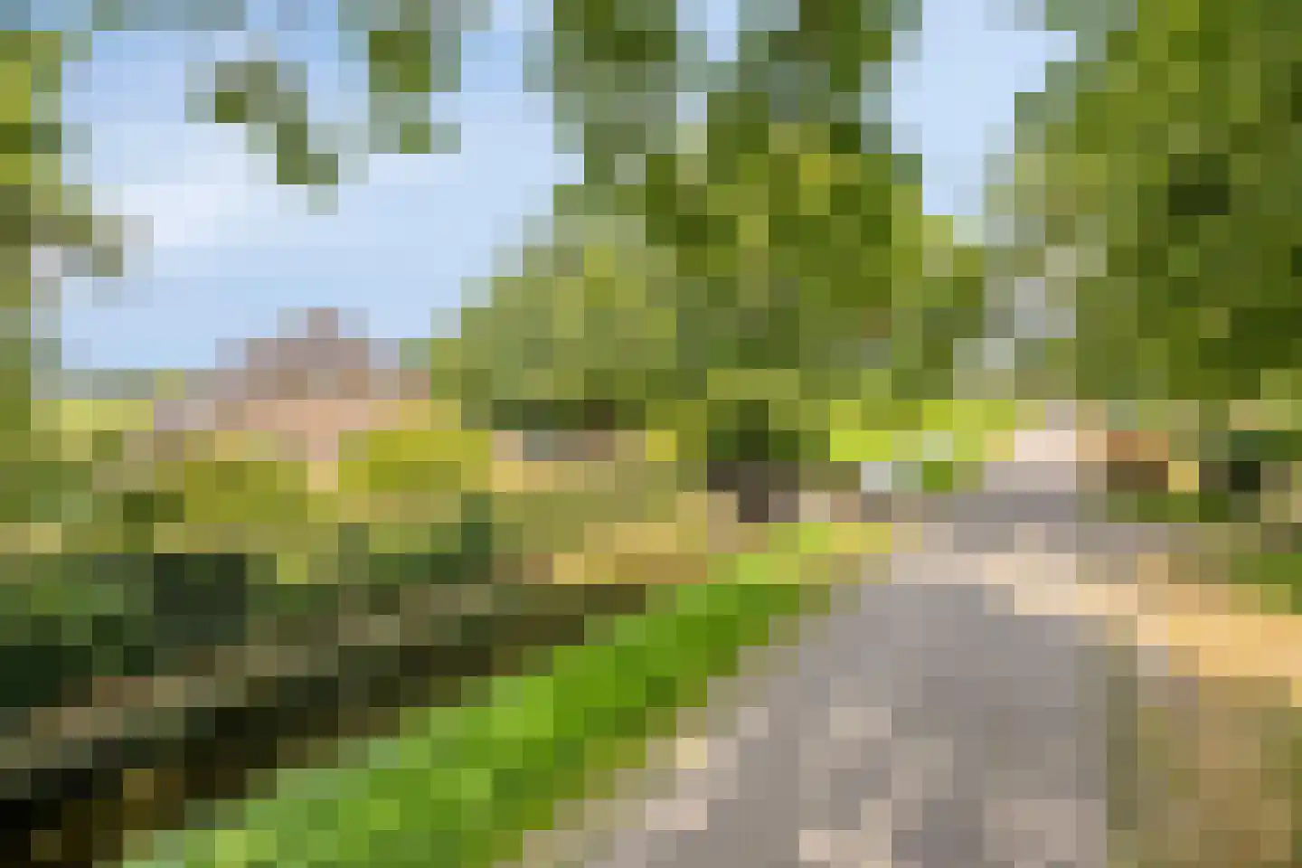 Schapendijk 10 Punthorst thumbnail 72