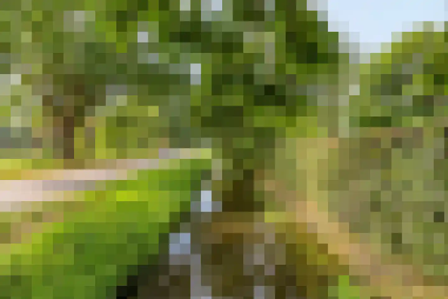 Schapendijk 10 Punthorst thumbnail 73